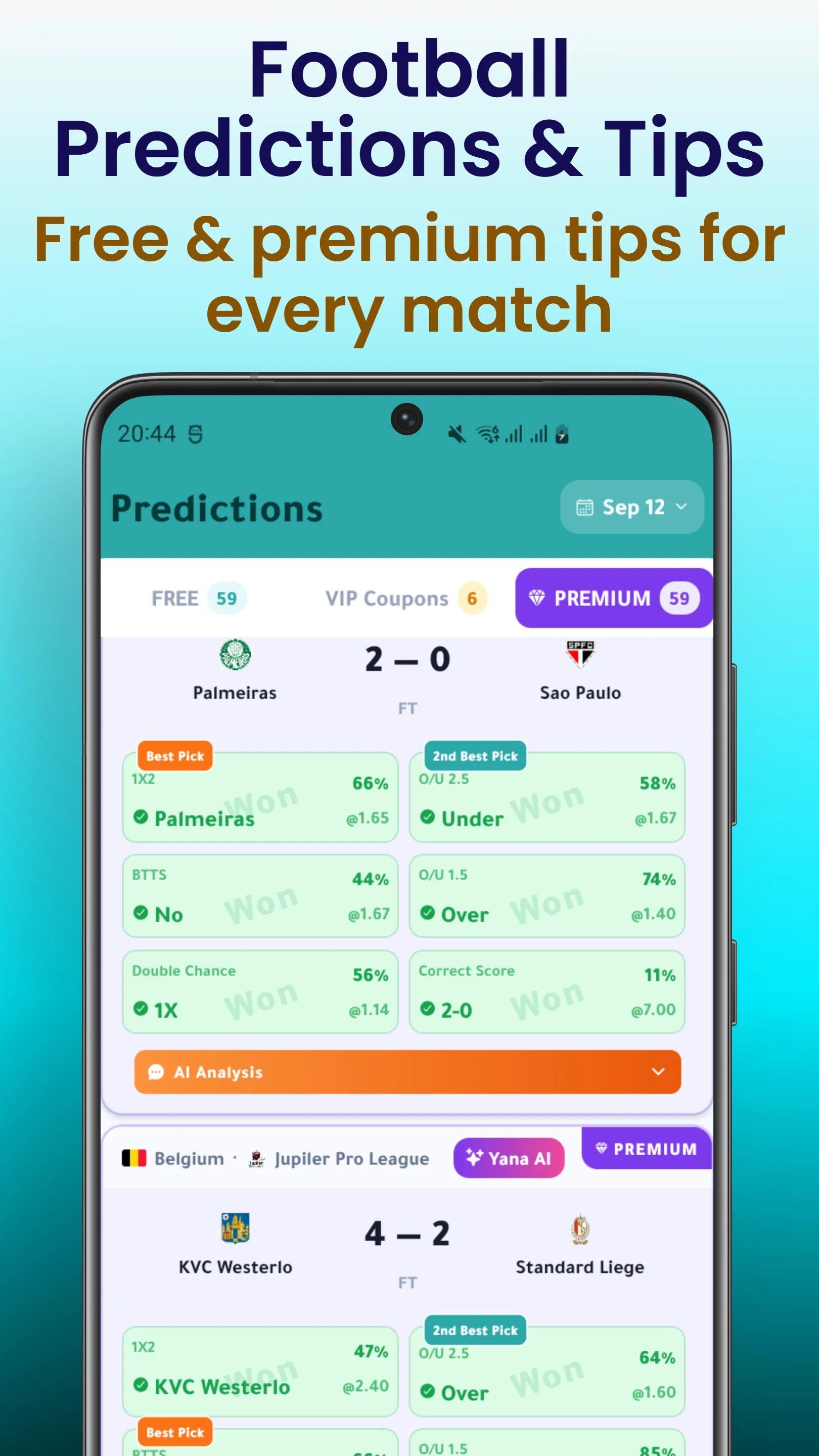 YanaTips: Football Predictions screenshot